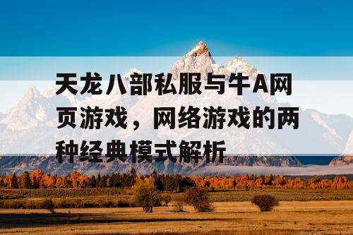天龙八部私服与牛A网页游戏，网络游戏的两种经典模式解析