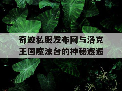 奇迹私服发布网与洛克王国魔法台的神秘邂逅