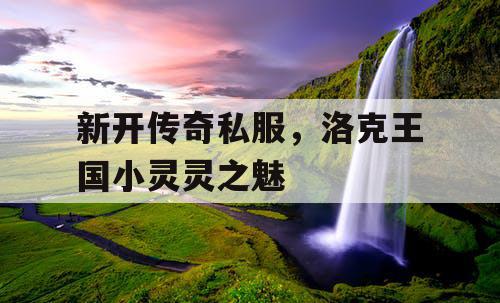 新开传奇私服，洛克王国小灵灵之魅