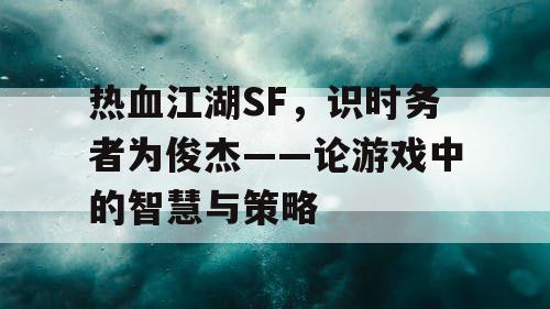 热血江湖SF，识时务者为俊杰——论游戏中的智慧与策略