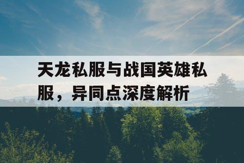 天龙私服与战国英雄私服，异同点深度解析
