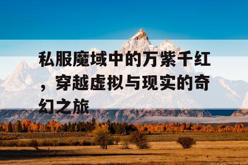 私服魔域中的万紫千红，穿越虚拟与现实的奇幻之旅