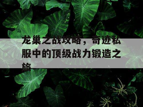 龙巢之战攻略，奇迹私服中的顶级战力锻造之旅
