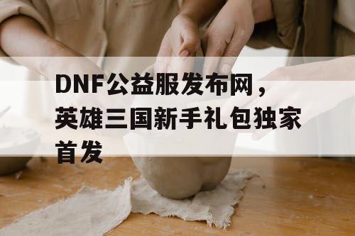 DNF公益服发布网，英雄三国新手礼包独家首发
