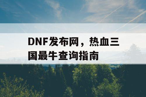 DNF发布网，热血三国最牛查询指南