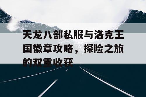 天龙八部私服与洛克王国徽章攻略，探险之旅的双重收获