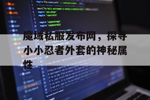 魔域私服发布网，探寻小小忍者外套的神秘属性