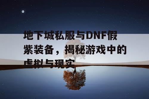 地下城私服与DNF假紫装备，揭秘游戏中的虚拟与现实