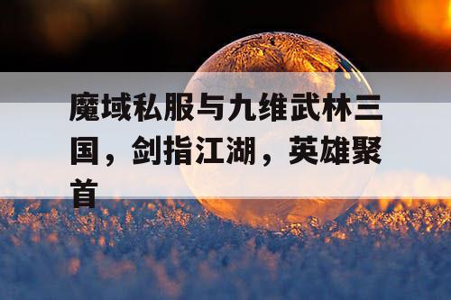 魔域私服与九维武林三国，剑指江湖，英雄聚首