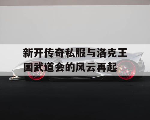 新开传奇私服与洛克王国武道会的风云再起