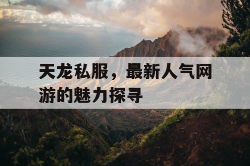 天龙私服，最新人气网游的魅力探寻