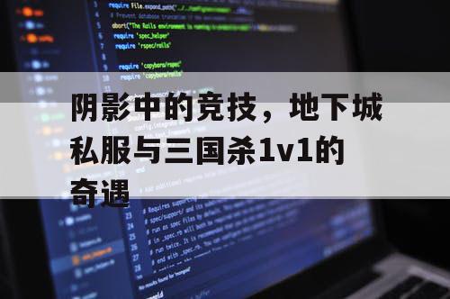 阴影中的竞技，地下城私服与三国杀1v1的奇遇