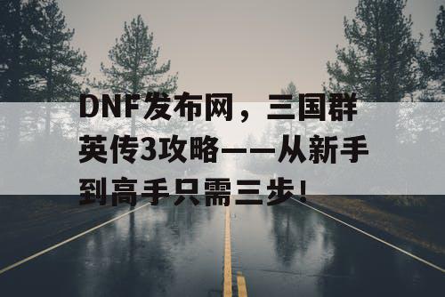 DNF发布网，三国群英传3攻略——从新手到高手只需三步！