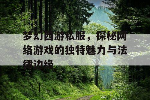 梦幻西游私服，探秘网络游戏的独特魅力与法律边缘