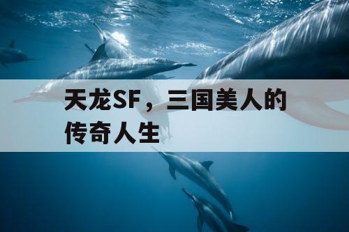 天龙SF，三国美人的传奇人生