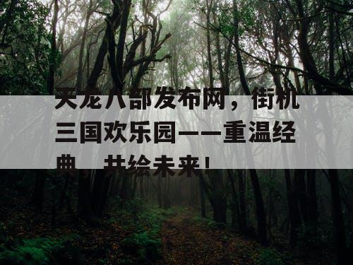 天龙八部发布网，街机三国欢乐园——重温经典，共绘未来！