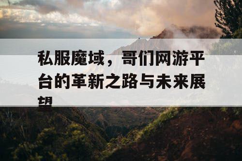 私服魔域，哥们网游平台的革新之路与未来展望