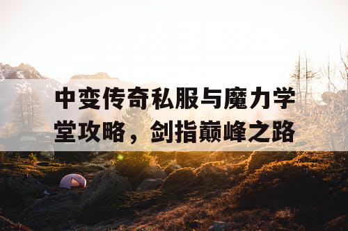 中变传奇私服与魔力学堂攻略,剑指巅峰之路 中变传奇私服与魔力学堂攻略,剑指巅峰之路