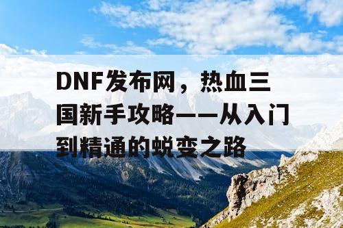 DNF发布网，热血三国新手攻略——从入门到精通的蜕变之路
