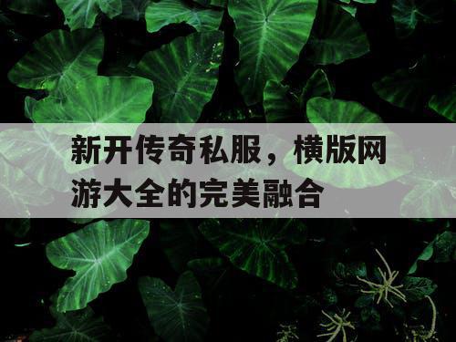 新开传奇私服，横版网游大全的完美融合