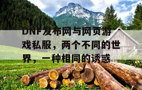 DNF发布网与网页游戏私服，两个不同的世界，一种相同的诱惑