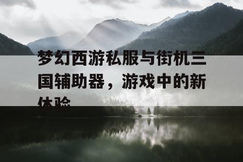 梦幻西游私服与街机三国辅助器，游戏中的新体验