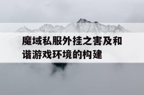 魔域私服外挂之害及和谐游戏环境的构建