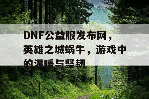 DNF公益服发布网，英雄之城蜗牛，游戏中的温暖与坚韧
