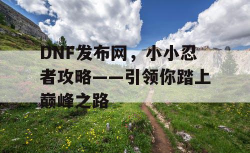 DNF发布网，小小忍者攻略——引领你踏上巅峰之路