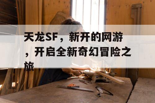 天龙SF，新开的网游，开启全新奇幻冒险之旅
