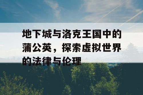 地下城与洛克王国中的蒲公英，探索虚拟世界的法律与伦理