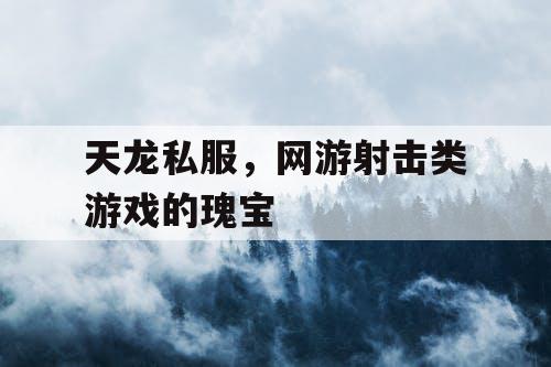 天龙私服，网游射击类游戏的瑰宝