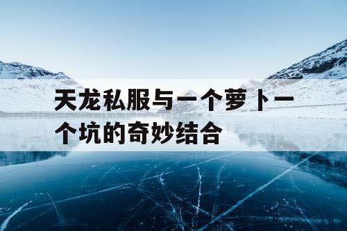 天龙私服与一个萝卜一个坑的奇妙结合