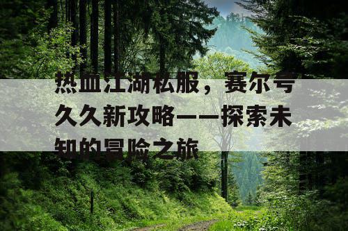热血江湖私服，赛尔号久久新攻略——探索未知的冒险之旅