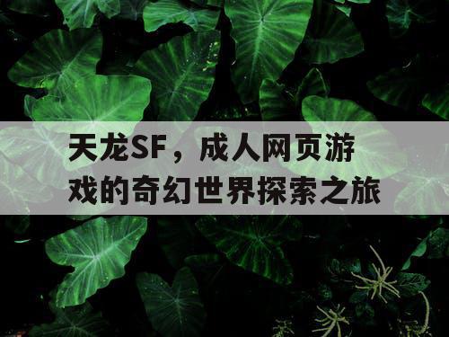 天龙SF，成人网页游戏的奇幻世界探索之旅