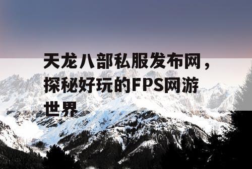 天龙八部私服发布网，探秘好玩的FPS网游世界