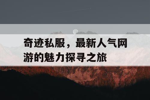 奇迹私服，最新人气网游的魅力探寻之旅