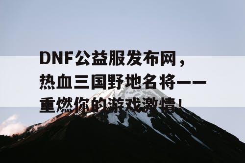 DNF公益服发布网，热血三国野地名将——重燃你的游戏激情！
