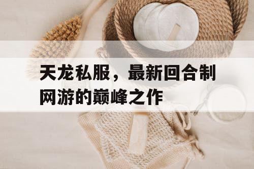 天龙私服，最新回合制网游的巅峰之作