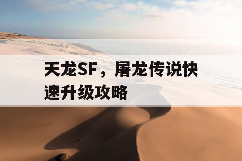 天龙SF，屠龙传说快速升级攻略