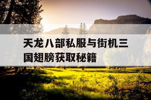 天龙八部私服与街机三国翅膀获取秘籍