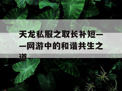 天龙私服之取长补短——网游中的和谐共生之道