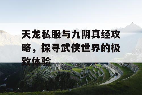天龙私服与九阴真经攻略，探寻武侠世界的极致体验