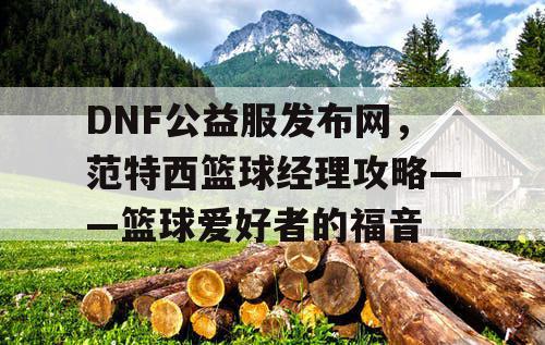 DNF公益服发布网，范特西篮球经理攻略——篮球爱好者的福音