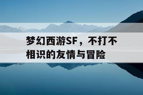 梦幻西游SF，不打不相识的友情与冒险
