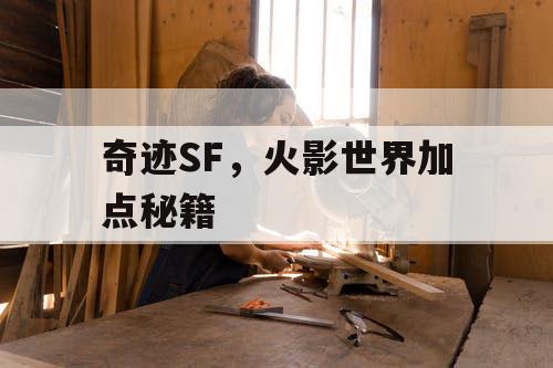 奇迹SF，火影世界加点秘籍