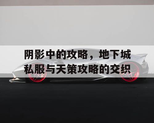阴影中的攻略，地下城私服与天策攻略的交织