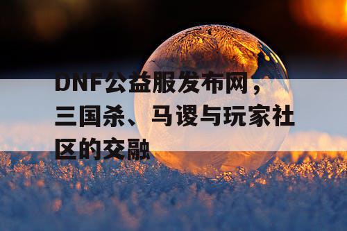 DNF公益服发布网，三国杀、马谡与玩家社区的交融