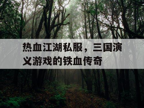 热血江湖私服，三国演义游戏的铁血传奇