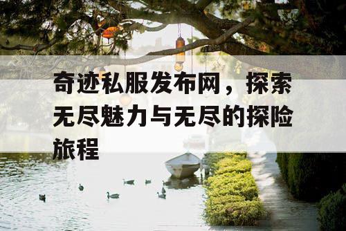 奇迹私服发布网，探索无尽魅力与无尽的探险旅程